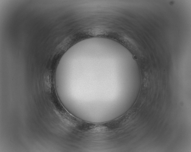 X0000062600210200601040922