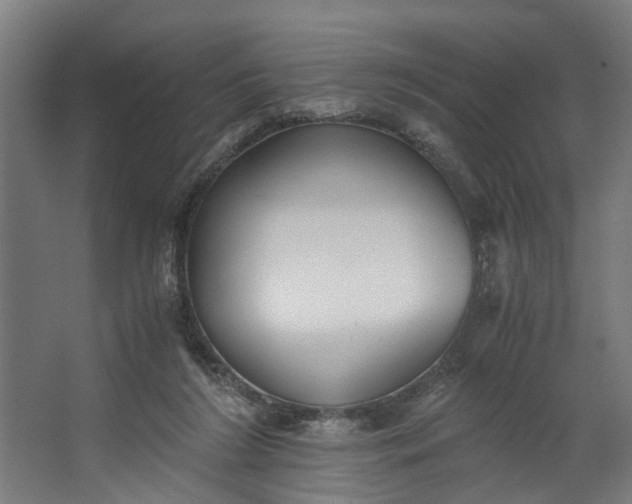 X0000062600212200601040922