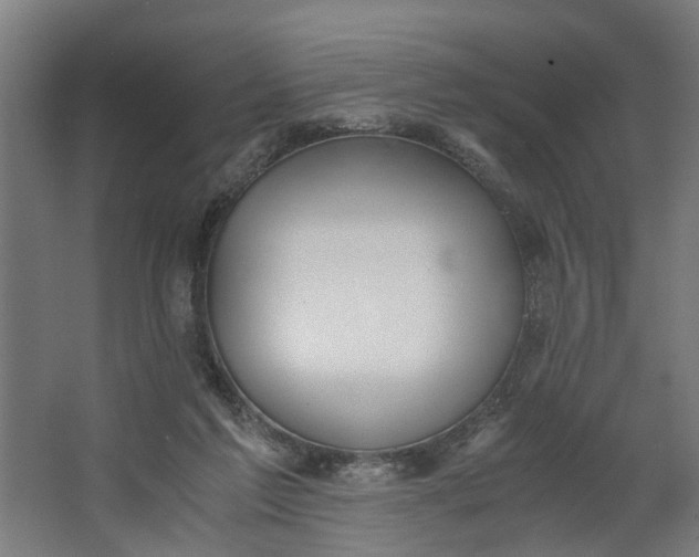 X0000062600213200601040922