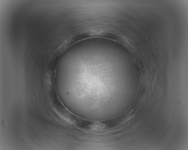 X0000062600215200601040922