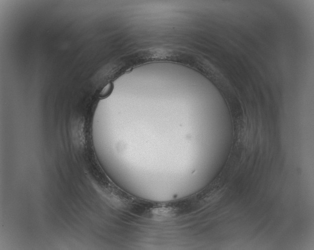 X0000062600216200601040922