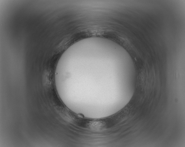 X0000062600218200601040922