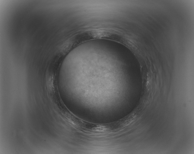 X0000062600219200601040922