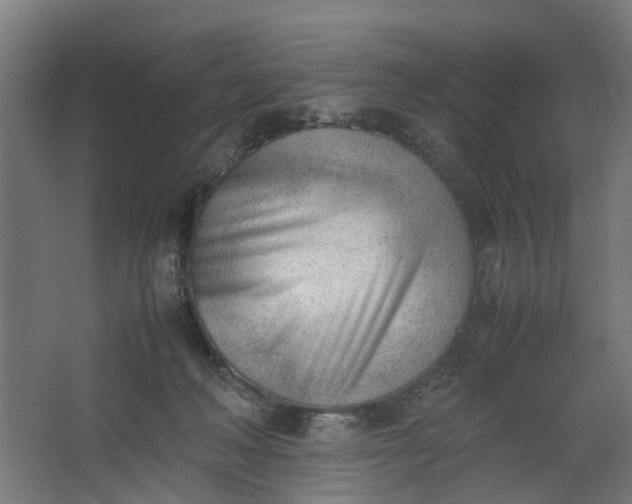 X0000062600222200601040922