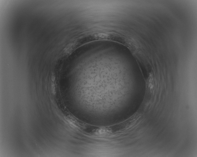 X0000062600223200601040922