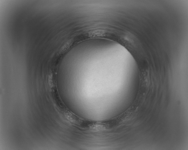 X0000062600224200601040922