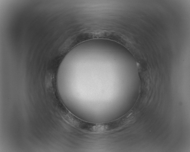 X0000062600225200601040922