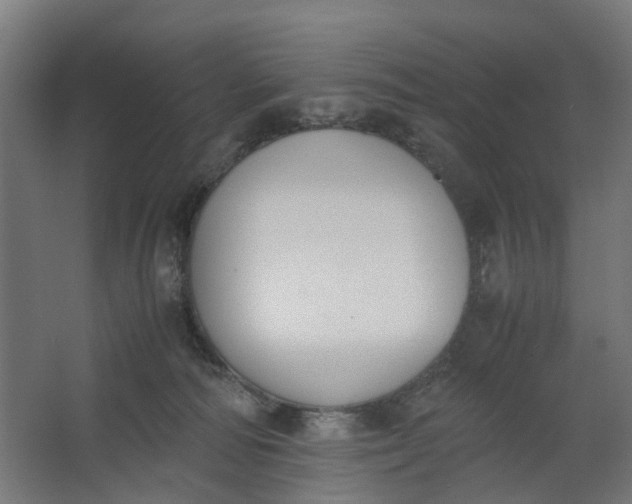 X0000062600226200601040922