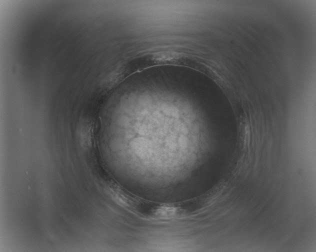 X0000062600227200601040922