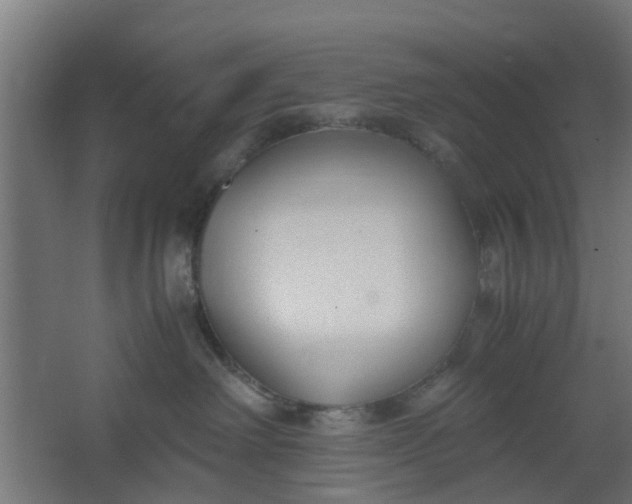 X0000062600238200601040921