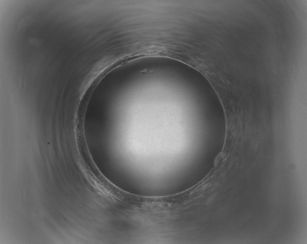 X0000062600242200601040921