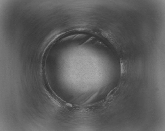 X0000062600243200601040921