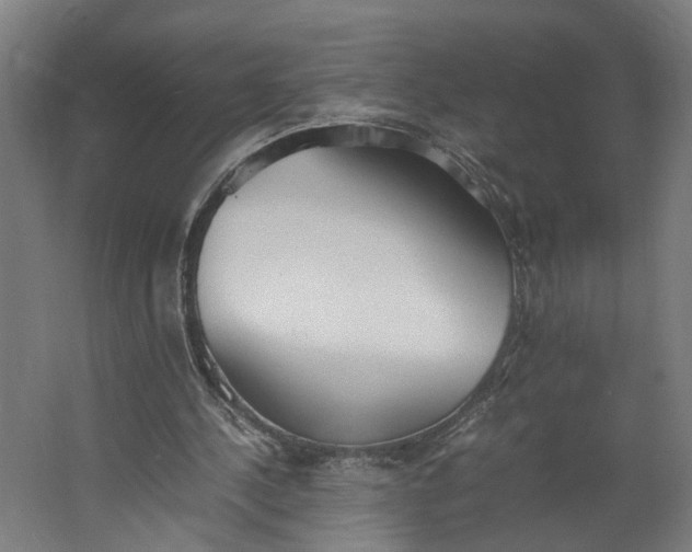 X0000062600244200601040921