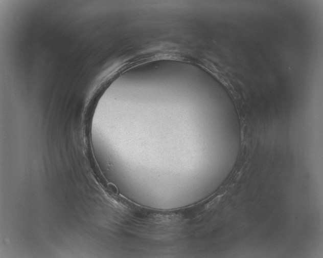 X0000062600245200601040921