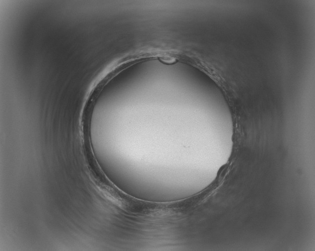 X0000062600246200601040921