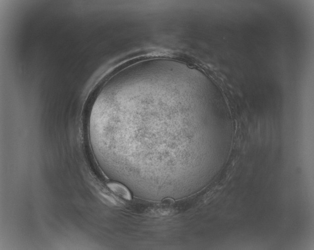 X0000062600247200601040921