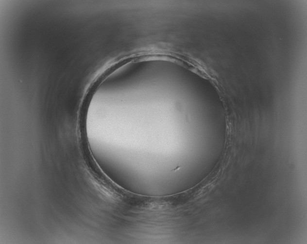 X0000062600248200601040921