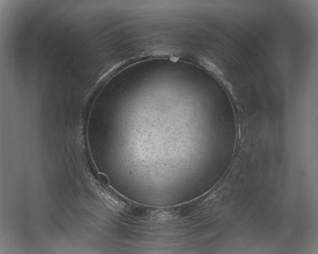 X0000062600249200601040921