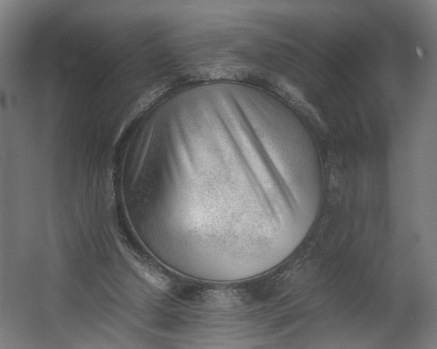 X0000062600250200601040921