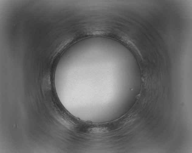 X0000062600251200601040921