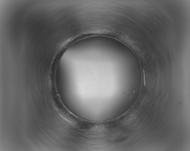 X0000062600252200601040921