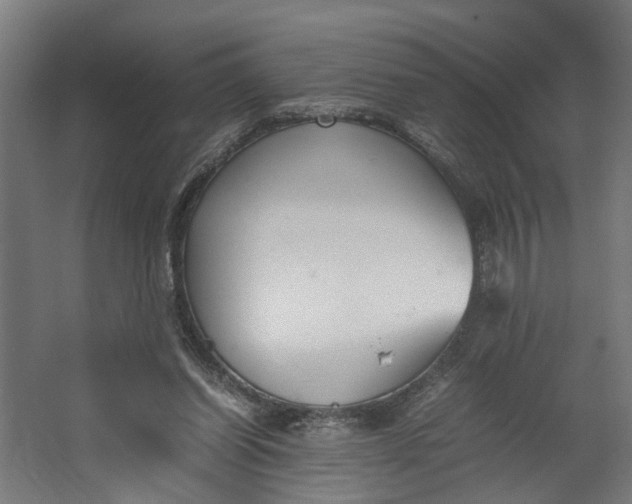 X0000062600254200601040921