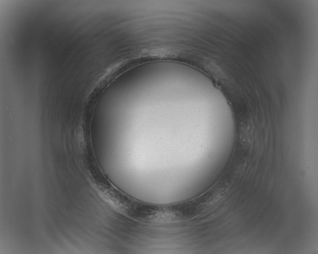 X0000062600256200601040921