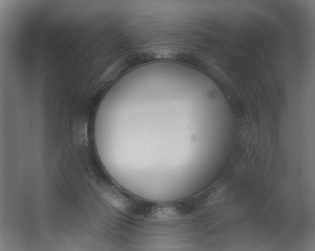 X0000062600262200601040921