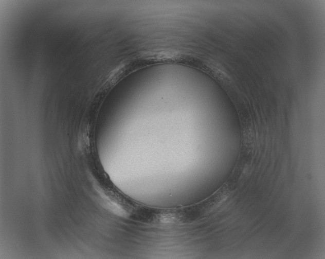 X0000062600264200601040921