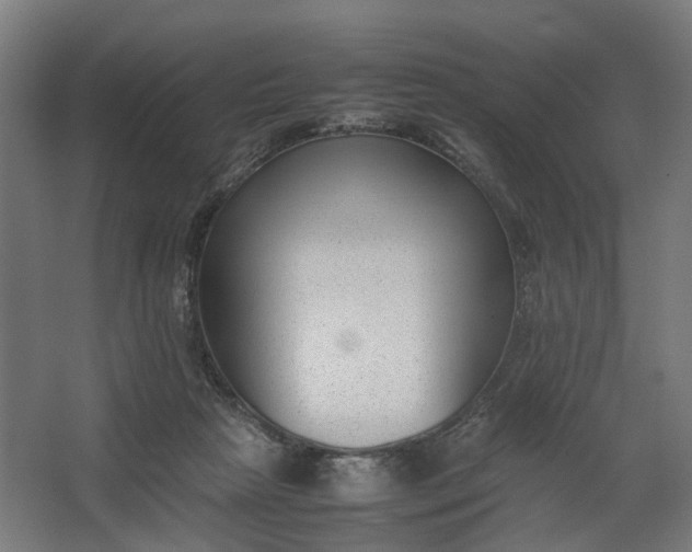 X0000062600265200601040921