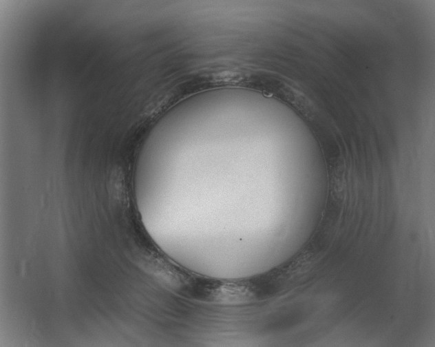 X0000062600270200601040921