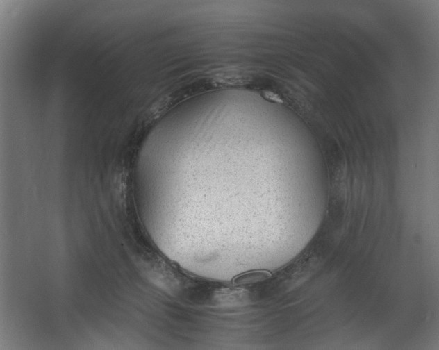 X0000062600271200601040921