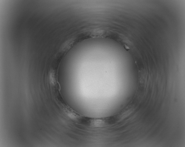 X0000062600287200601040921
