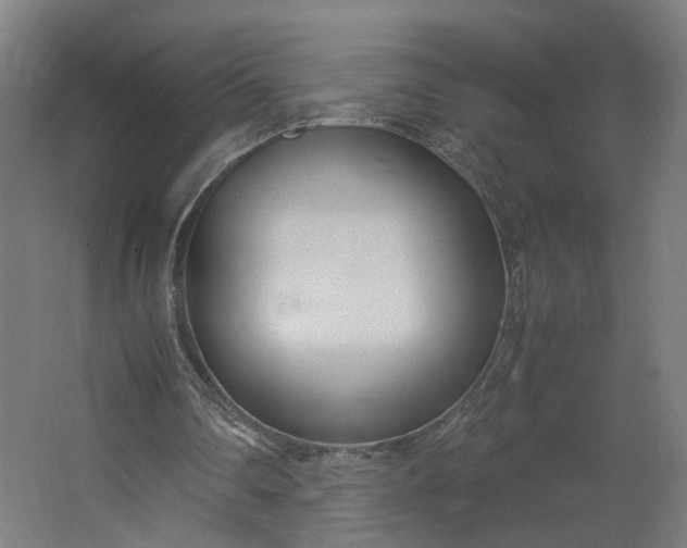 X0000062600290200601040920