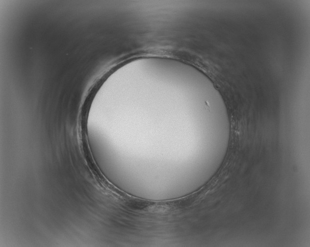 X0000062600294200601040920