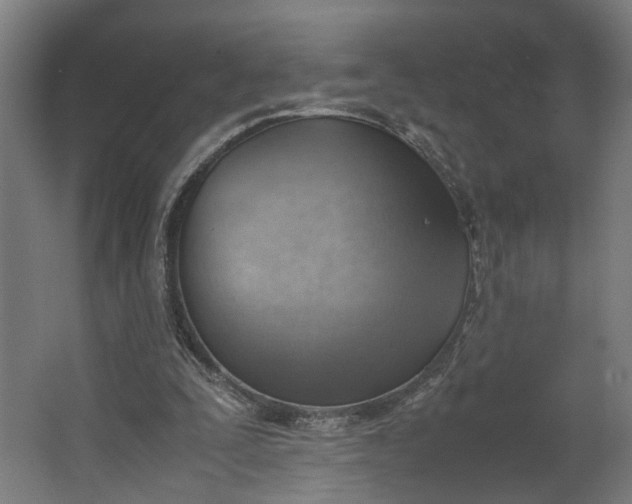 X0000062600295200601040920