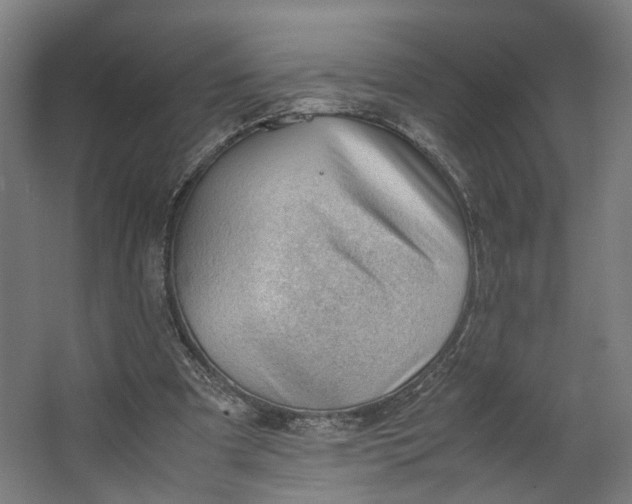 X0000062600297200601040920