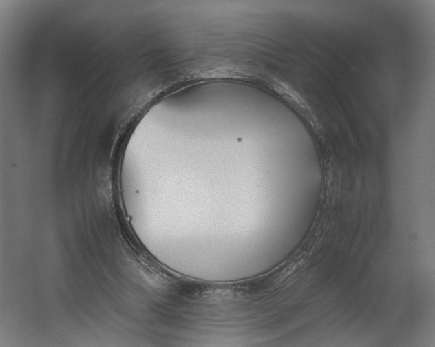 X0000062600298200601040920