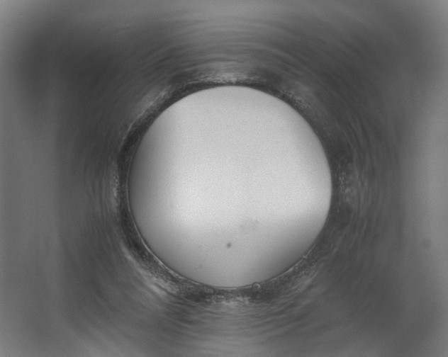 X0000062600304200601040920