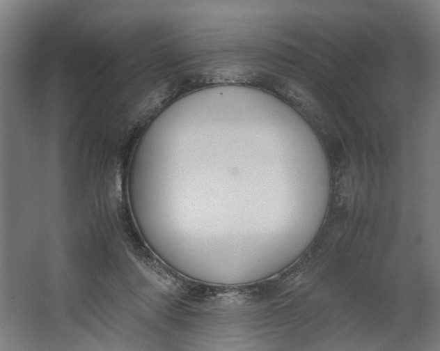 X0000062600310200601040920