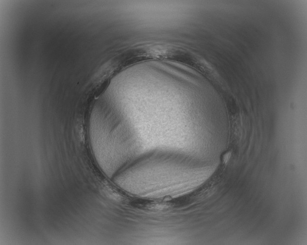 X0000062600313200601040920