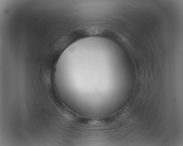 X0000062600315200601040920
