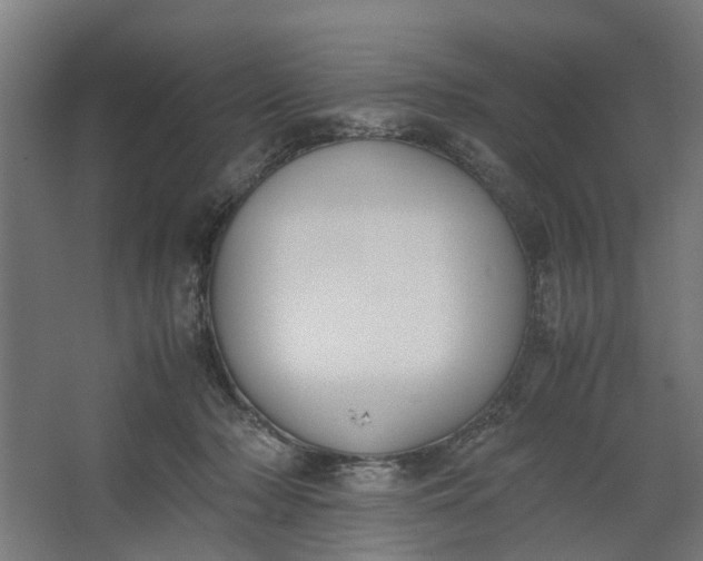 X0000062600318200601040920