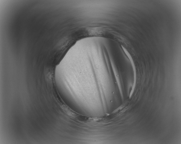 X0000062600329200601040920