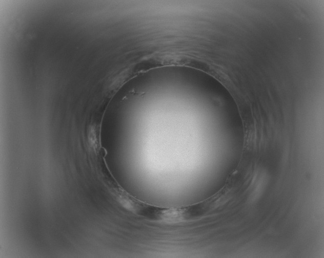 X0000062600335200601040920