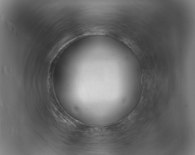X0000062600338200601040919