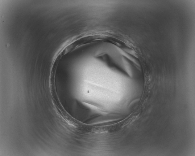 X0000062600340200601040919