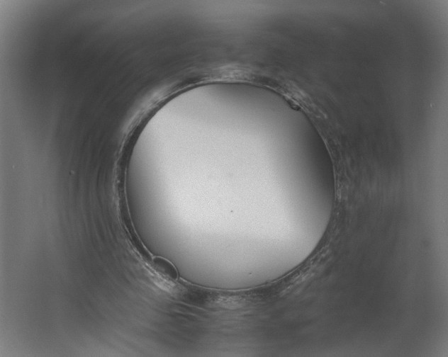 X0000062600341200601040919