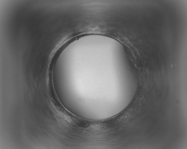 X0000062600344200601040919
