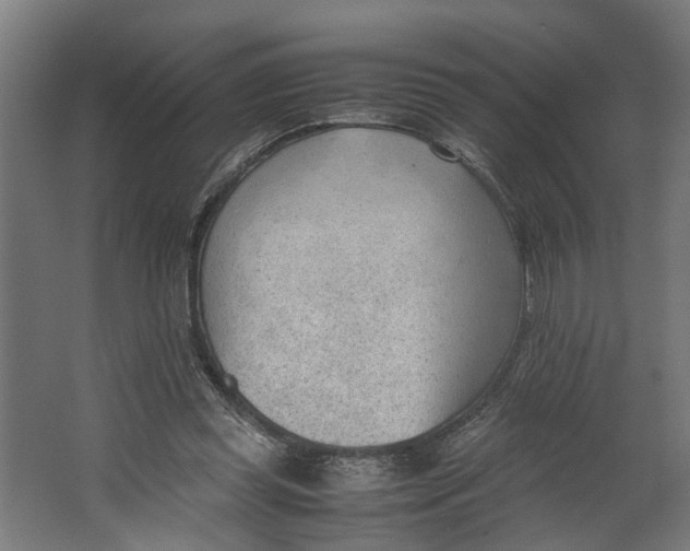 X0000062600349200601040919
